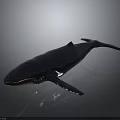 Blue Whale Decorative Model with Shiny Surface and Realistic Design on Dark 3d model