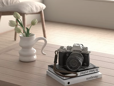 Camera Ornaments Combination 3d model