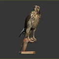 Lifelike Eagle Perched On Wooden Base With Detailed Feather Texture