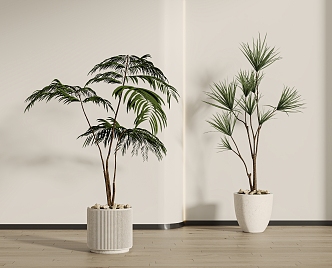 Green plant potted combination 3d model