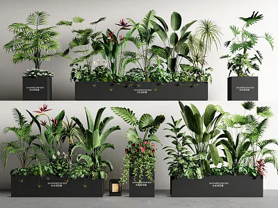 Various Bonsai and Potted Plants in Black Pots with Lush Green Foliage and Red Blooms 3d model