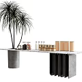 Twin Palm Trees Beside Concrete Base Dining Table With Stone Top And Jars Boxes 3d model
