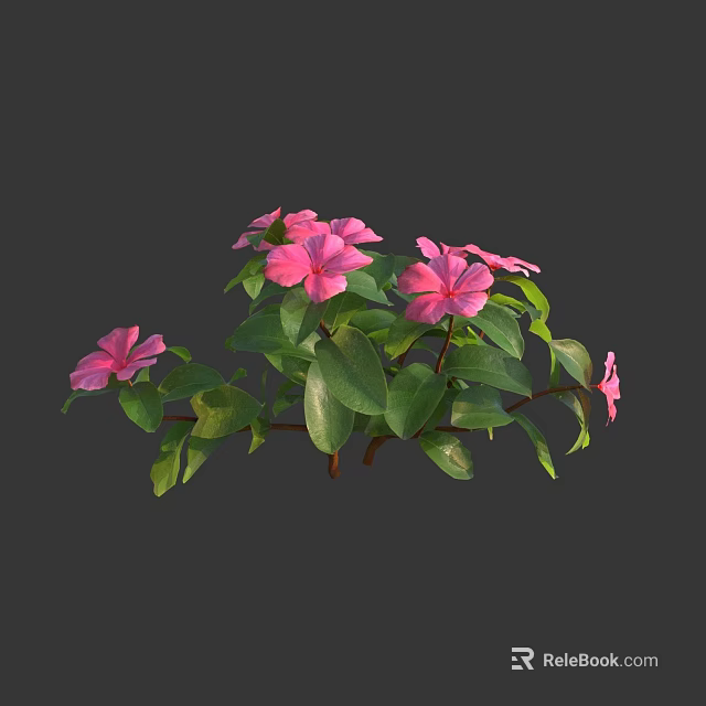Blooming Vibrant Pink Flowers With Lush Green Leaves For Garden Decoration 3d model 