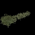 Arbor Trees in Various Sizes and Shapes for Landscape Design Applications 3d model