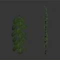 Green Vines With Small Leaves And Large Fern Leaves On White Background
