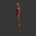 Muscular Man 3D Model with Well Defined Physique in Standing Pose