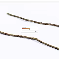 Two Natural Stone Wood Branches With Rough Surface And Dry Texture