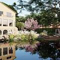 Serene Courtyard Garden with Pond Reflections Pink Flowering Tree Gazebo and Arched Window Building