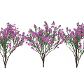 Lush Blooming Purple Flower Bushes With Green Leaves For Garden Decor