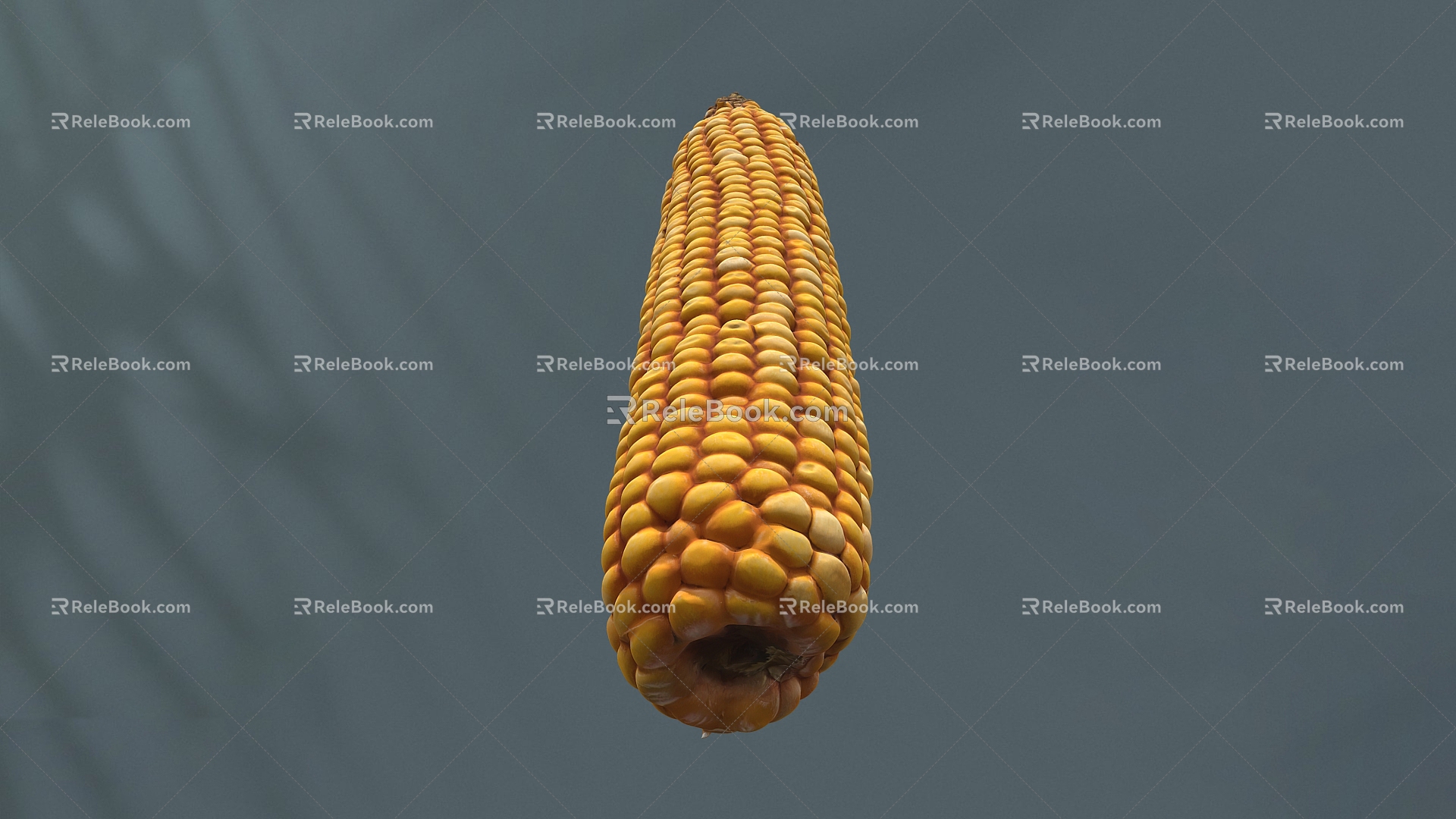 Maize Modern Maize Scan Corn Grain 3d model