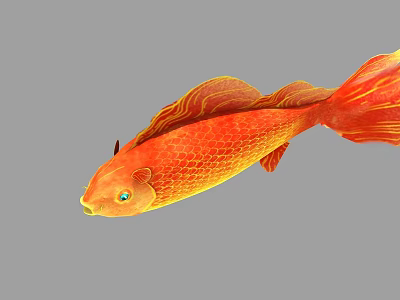 Red Koi Fish With Vibrant Gold And Orange Scales Flowing Fins And Bright Blue Eyes 3d model