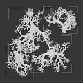 Leafless Withered Trees With Thick Trunks And Twisted Branches Against Gray Background