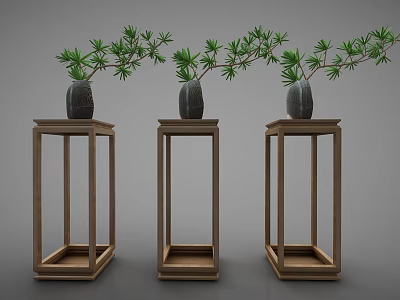 Elegant Bonsai Plants In Dark Pots Placed On Wooden Display Stands With Green Foliage 3d model