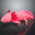 Unique Pink Axolotl Aquatic Animal With Red Feathery Gills Smooth Body And Limbs