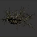 Dry Tree with Rough Trunk and Leafless Branches Standing Against White Background