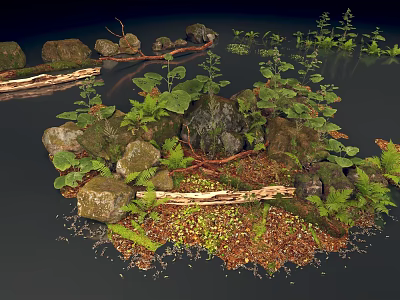 Natural Forest Scene With Rocks Logs Ferns Moss Fallen Leaves And Green Plants 3d model