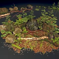 Natural Forest Scene With Rocks Logs Ferns Moss Fallen Leaves And Green Plants
