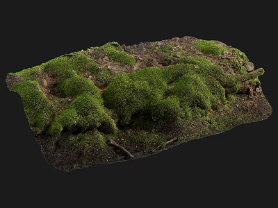 Natural Rock Surface Covered With Lush Green Moss And Earthy Texture 3d model