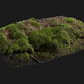 Natural Rock Surface Covered With Lush Green Moss And Earthy Texture