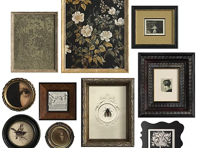 Abstract Paintings In Various Framed Styles With Floral Insect And Portrait Art 3d model