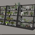 Bonsai and Potted Plants Display on Black Multi tiered Metal Shelves with Various Green Planters