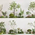 Diverse Landscape Shrubs With Various Shapes Stones And Decorative Lights