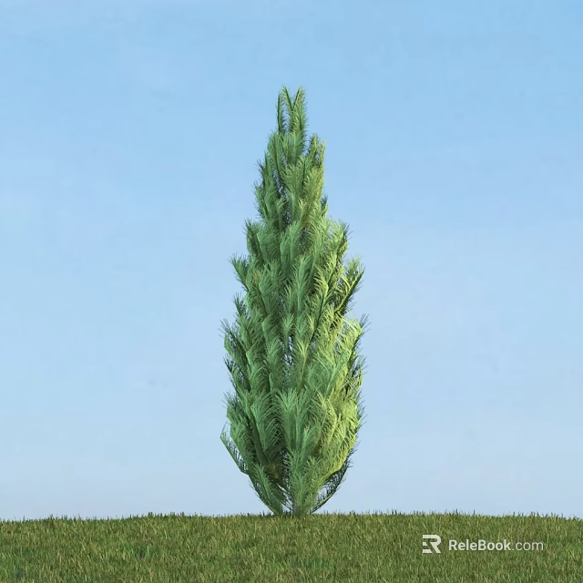 Tall Upright Arbor With Lush Green Foliage Against Clear Blue Sky 3d model 