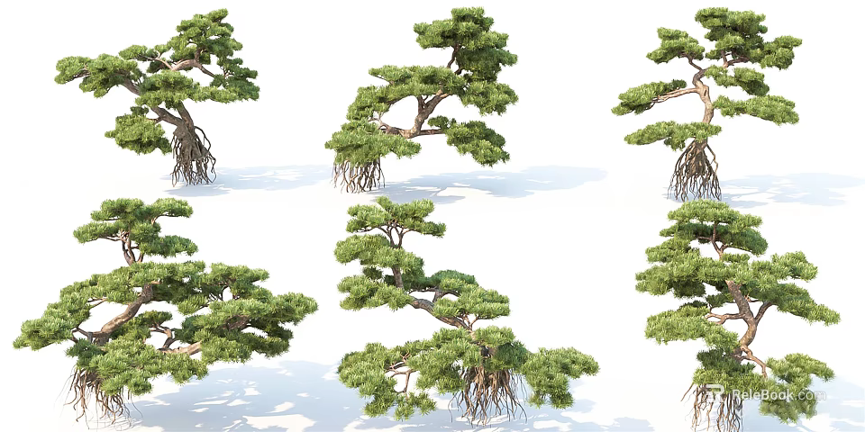 Various Landscape Trees with Exposed Roots and Different Natural Growth Forms 3d model