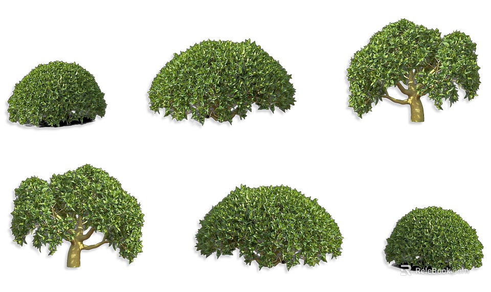 Different Varieties of Green Leafy Shrubs with Various Shapes and Lush Foliage 3d model 