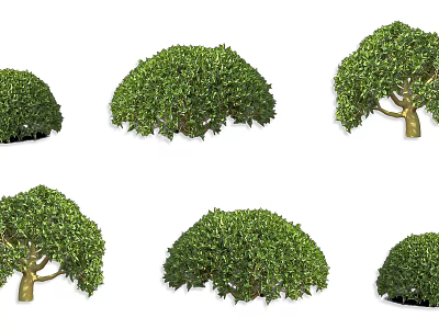 Different Varieties of Green Leafy Shrubs with Various Shapes and Lush Foliage 3d model