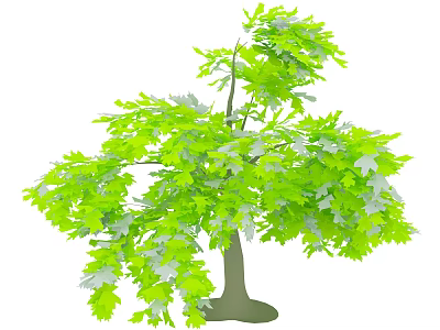 Lush Green Tree With Dense Foliage And Sturdy Trunk In Natural Landscape 3d model