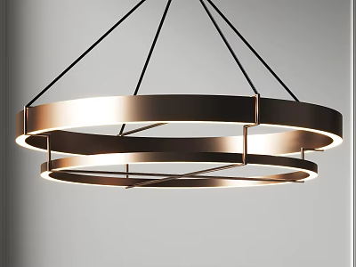 Modern Circular Pendant Light With Double Ring Metal Frame And LED Lighting 3d model