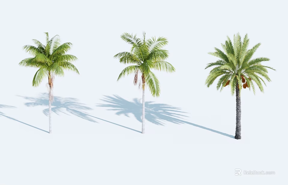 Three Palm Trees Against Light Blue Background With Long Shadows Cast On Ground 3d model