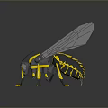 Mechanical Insect 3D Model With Yellow Black Body And Transparent Wings