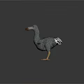 Flying Animal Gray Bird Figure Standing With White Wing Edges Pink Beak And Yellow Legs