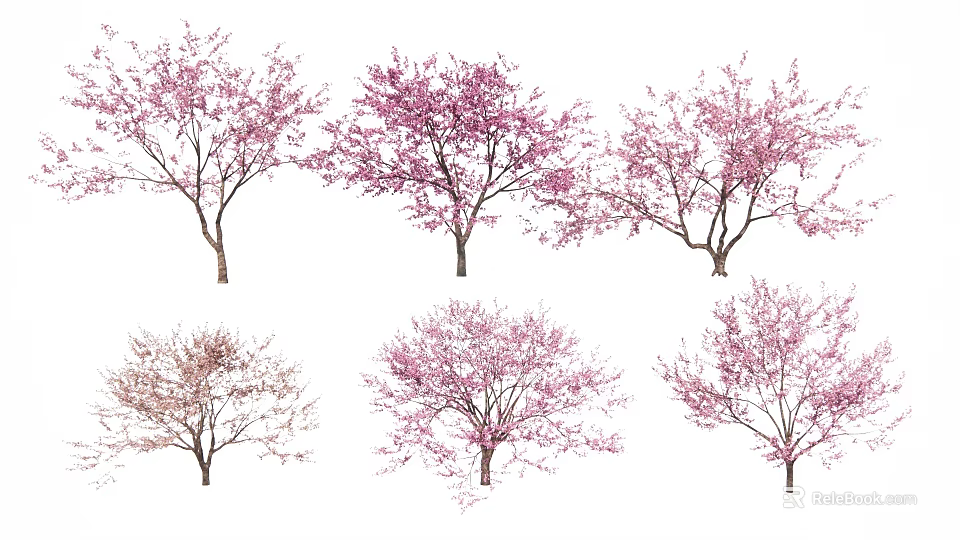 Pink Flowering Arbor Trees In Various Growth Stages And Bloom Conditions 3d model 