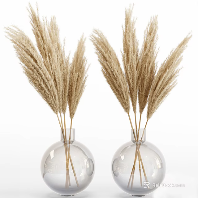Two Transparent Glass Vases With Beige Pampas Grass For Interior Decor 3d model 