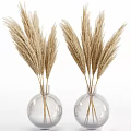 Two Transparent Glass Vases With Beige Pampas Grass For Interior Decor