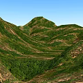 Green Rolling Hills And Lush Terrain In Beautiful Landscape Garden With Blue Sky