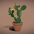 Potted Cactus With Green Paddle Shaped Leaves And Yellow Flowers In Terracotta Pot