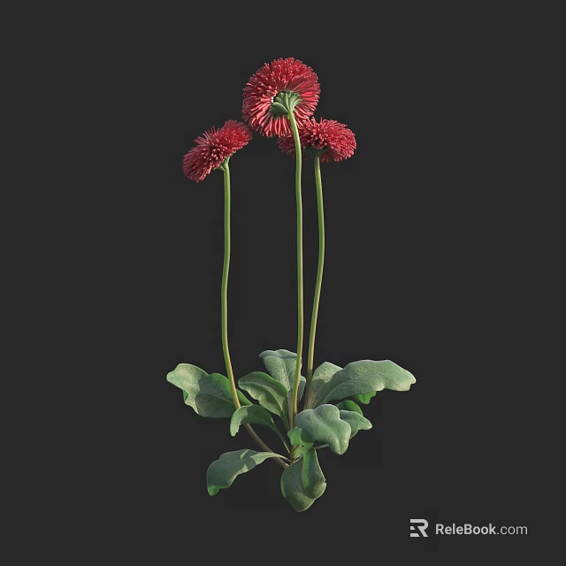 3D Model Shrub With Red Flowers Green Leaves And Slender Stems 3d model 