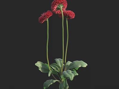 3D Model Shrub With Red Flowers Green Leaves And Slender Stems 3d model