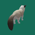 Cream And White Cat With Dark Ears Standing On Green Background