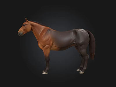 Realistic Brown And Black Horse 3D Model Standing Against Black Background 3d model