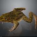 Vibrant Orange Brown Spotted Frog With Long Legs On Dark Isolated Background