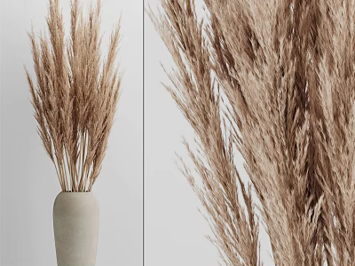 Elegant Beige Vase With Dried Pampas Grass For Minimalist Home Decor 3d model