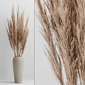 Elegant Beige Vase With Dried Pampas Grass For Minimalist Home Decor