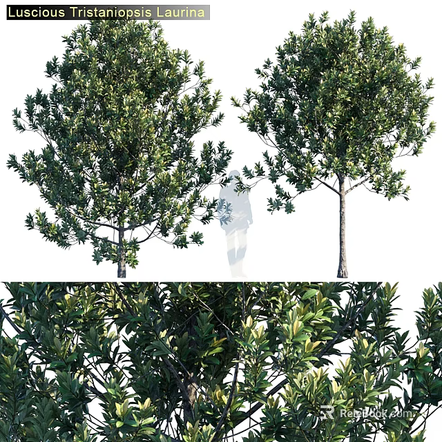 Decorative Tree Ornament Set With Green Leaves For Home Decoration 3d model 