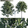 Decorative Tree Ornament Set With Green Leaves For Home Decoration