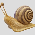 Snail Cartoon Snail Cartoon Animal 3d model